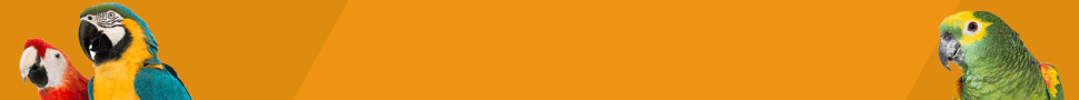 banner.gif