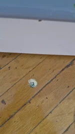 17595079130601601448462618298301.webp