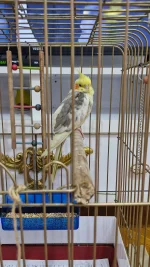 20251002_201129.webp