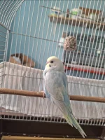 1000009536.webp