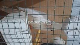 20251119_211950.webp