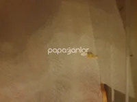 20251124_192719.webp