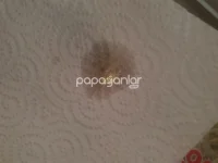 20251126_161307.webp