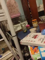 17703167348878356394230074204749.webp