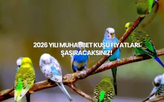 2026-muhabbet-kusu-fiyatlari.webp